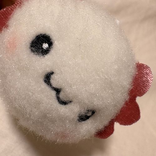 カメラに興味深々です。
