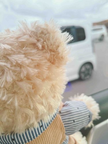 どこにつくのかな…🧸？