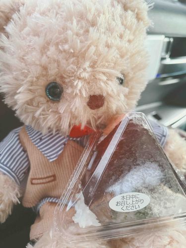 サーモン入りおにぎりをたべたよ🍙
たのしいおでかけだった🚗³₃

