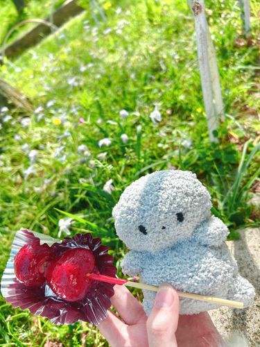 ちきゅー　では　かじつに　飴をぬるのが　おいしいらしい。
そらも、　おいしーと　かんじる。　だっこ　してくれてる　ちきゅー人も　コレ　すきだって。