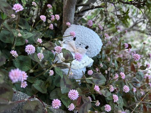 ちいさい　ぴんくの　おはな。
そら　囲まれてる。　すこし
これ　すきかも