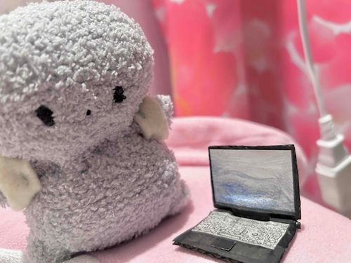 あるじ　は　がっこう？　で、　パソコンを　使うらしい。　そらも　勉強　しやすいようにって、　また　あるじ、　作ってくれた。
すこし　うれしい
