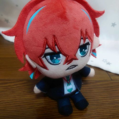 始めてみたので、せっかくならお迎えして初めて撮ったときのどぽぬいをあげてみよう。
(この後おでかけを共にするようになる)