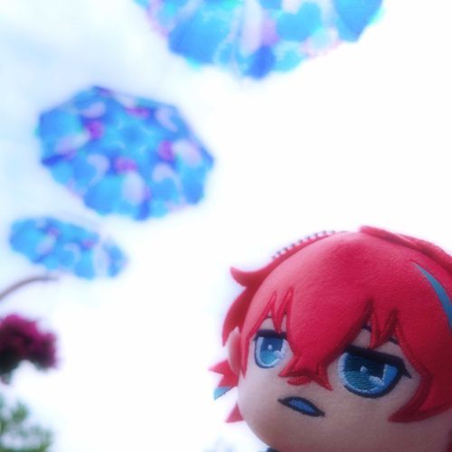 もうすぐ紫陽花の季節。
今年もアンブレラスカイ見に行きたいね。