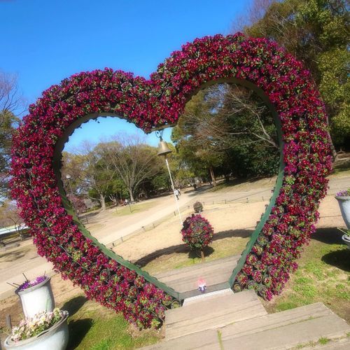どこかにちゃんとどぽぬいがいます。
探してみよう。