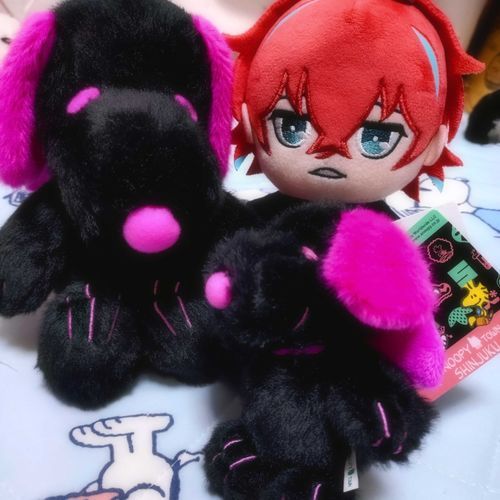 友達が新宿にしかいないすぬーを贈ってくれた(先日の誕プレで)
どぽぬいもシンジュクディビジョンだもんね。