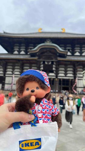 東大寺に行った！