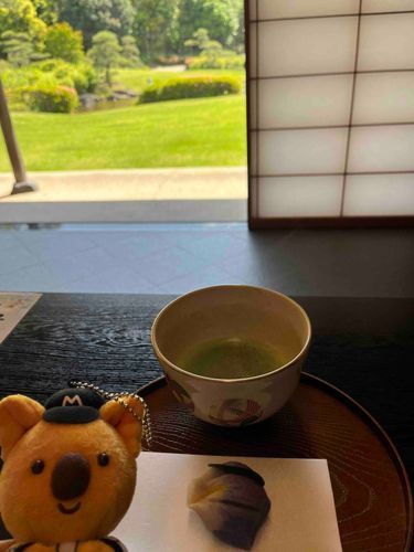 チャンス君とお茶と日本庭園🍵