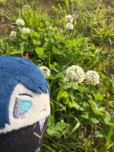 きょうは ははのひ だな
ぼくも かあさんに 「いつも ありがとう」って でんわを したぞ！
かんしゃのきもちを つたえるのって まだかなり てれるけど・・・
かあさんには いつもえがおで いてほしいもんな！