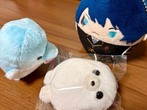 うちに あざらしが きてくれたぞ！
かんじゃ だめだぞ。
きっと いいダチに なれるはずだ！