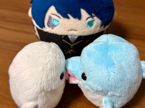 あっ・・・
・・・えっ？？
えっ？？？？？？？？