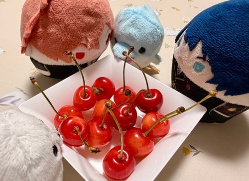 きょうの おやつは さくらんぼだ！
こら、エースも イルカも、あんまり けんせい しあうなよ？
きょうも みんなで おいしく いただきますだ！