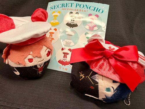 ディズニーストアで あたらしい ポンチョを ゲットしたんだけど・・・。ぼくには、ちょっと、サイズが あわない みたいだ・・・。
こら、エース！おもいきり わらうな！おまえだって ぼうしのサイズ あってない だろう！
んぐぐ・・・！