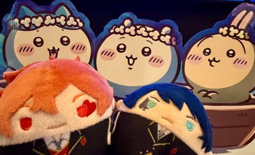 ちいかわたちと きねんさつえいだ！
こんかいの ちいかわは すごく がんばっていたな！カッコよかったぞ！！

・・・それにしても、ヒトハと フタバの じょうきょうには かんがえ させられるよな・・・。
もし、だいじなダチが あんなめに あったら・・・ぼくだって オトシマエを つけずに いられただろうか・・・。
・・・ううん、それじゃ いけないん だよな。
でも・・・・・・。
ぼくには、こたえが みつけられそうに ない・・・。
