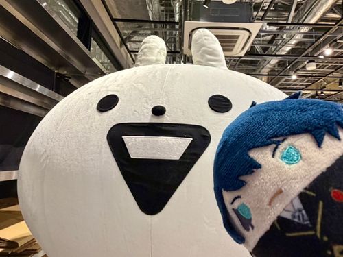 しぶやで うさぎゅーんに あって きたぞ！
うさぎゅーんは いつも げんきだな！
ぼくも まけないぞ！！💪✨