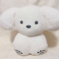 しらたま