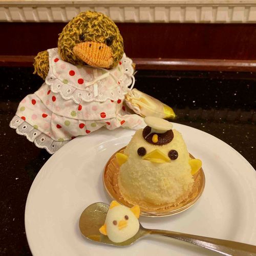 ぴよりん‼️🐤