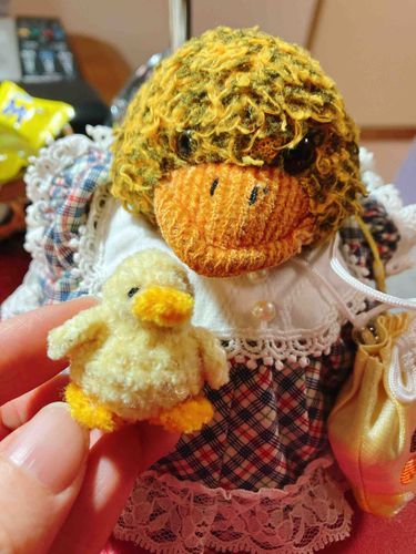 新しく弟分が仲間入りしたよ！
名前はここいちゃ、よろしくね🐤