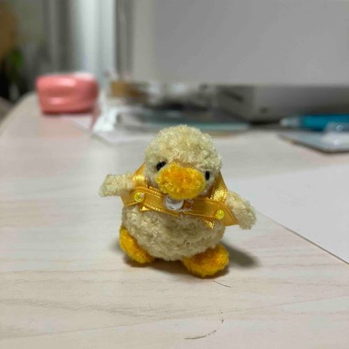 ここいちゃにハーネスを作ってもらったよ！
これで一緒にお出かけできるね🐤