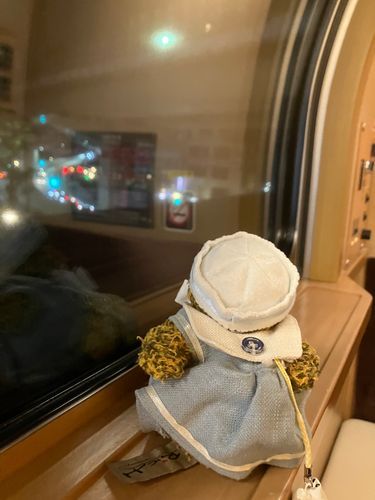 はじめての寝台列車…！！🐤
