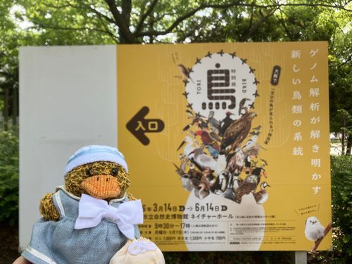 鳥展に行ってきた🐤
勉強になる〜〜！