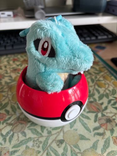 31のカップにぴったり(*˘︶˘*).｡.:*♡