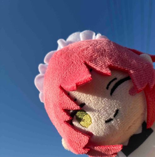 久々に散歩よ〜！
奇跡的に撮れた一枚よ！