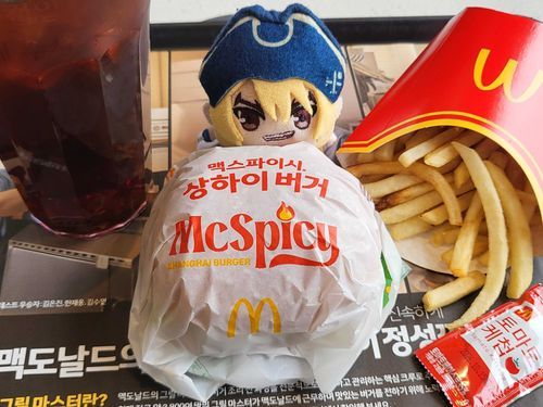 2604 マクドナルドに行った
上海スパイシーバーガー