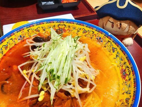 冷たい中華麺🍜