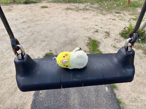 公園にいってブランコに乗ったよ！あとパンダさんにも乗ったよ！すごく楽しかった！🦜‬⸒⸒🐼