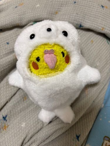 あざらしに大変身ピヨ！
🦭🐥