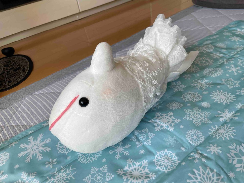 農園のしそも元気すぎてゆのにすごくたくさんむしられるんだけど…
今日ももっさりむしられたの…
お昼はべるさんの許しなくむしったバジルがたくさん乗ったパスタだったよ
食べ終わったあと、ゆのにお口の周りすごーーーーくゴシゴシされてべるさんお口の周り痛いの！！！これは絶対いじわるなの！！！！！
さて、暑いしべるさん冷たいマットおひるねしよっと！