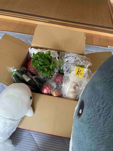おかーさまたちがお墓参りで水戸ってとこに行ってきたからってお土産くれたの！
こっちのとうもろこっこしとプラムとメレンゲクッキーとそぼろ納豆と揚げ物みたいな匂いするやつはべるさんの！！！！
よるごはんに揚げ物食べようねってゆのに言われてワクワクしてたんだけど、思ったよりすごく大きいの！！
なにこれ、べるさんのひとくちで入らないよ！
中はコロッケだったよ。美味しかったの！