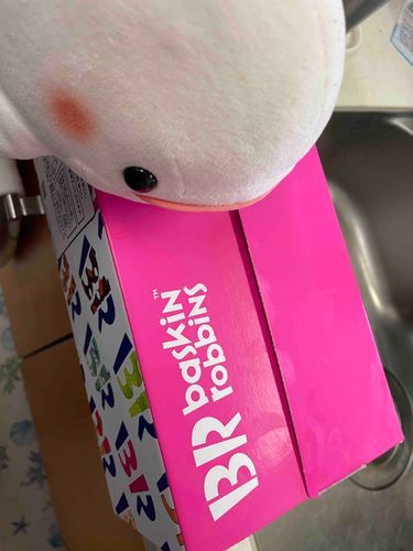 ゆのとさめこおねぇちゃんお買い物でいないし、べるさん暑いから冷凍庫でお昼寝しようかなって思って冷凍庫開けたら、サーティワンの箱があったよ！！！！
8個もある！これ全部べるさんのだよね！！！！