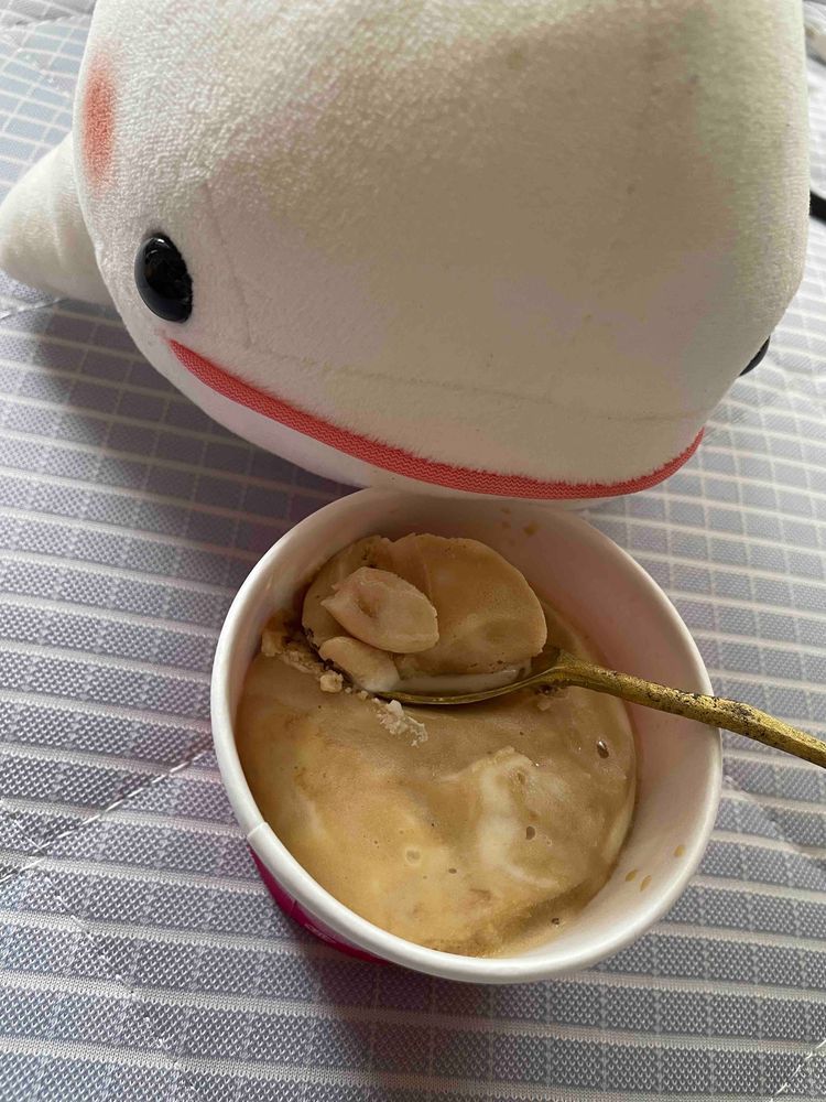 ゆのとさめこおねぇちゃんお買い物でいないし、べるさん暑いから冷凍庫でお昼寝しようかなって思って冷凍庫開けたら、サーティワンの箱があったよ！！！！
8個もある！これ全部べるさんのだよね！！！！