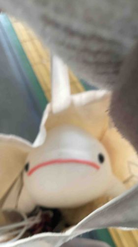 べるさん、今日は頑張ってゆののカバンに入っておでかけしてるよ！！！！！！