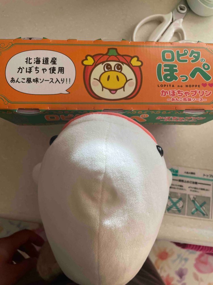 ゆのの病院ついて行ったはずなのに、ゆの病院についてからお財布忘れたのに気がついて取り戻ったり、マイナ保険証をロックしちゃって市役所のとこまで手続きいったりしてべるさんゆののことなぐさめるのに疲れたよ…
お昼はゆのの好きなカレーラーメンのお店にさめこおねぇちゃんのリクエストで行くことになって、べるさんちゃんといるのに黄色になっちゃうからって分身でケースに入ってなさいって言われて仕方なくケースに入ってたり、ゆのがセリアで楽しくなっちゃって色々買ったせいでべるさんのスペースすごーーーく狭くなったり、ロピアでいいもの見つけてかってもらったりしたの！！
