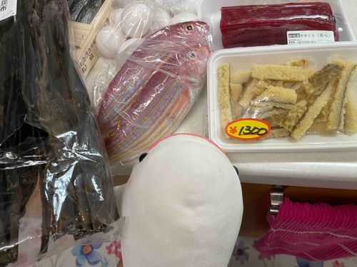 ゆのが市場行くって言うから着いて行ったら人間さんたくさんいたの
べるさんの分のお魚も買ってもらえたしべるさん満足なの！