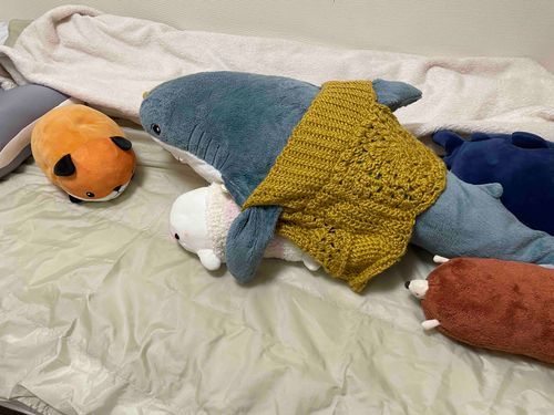 さめこだよ🦈
べるさんがやだって泣き叫んでてちょっとうるさいけど、年内最後のお布団サウナ開催してるよ
出たらさめこ、ゆのが買ってきた日本酒のむんだ！！！