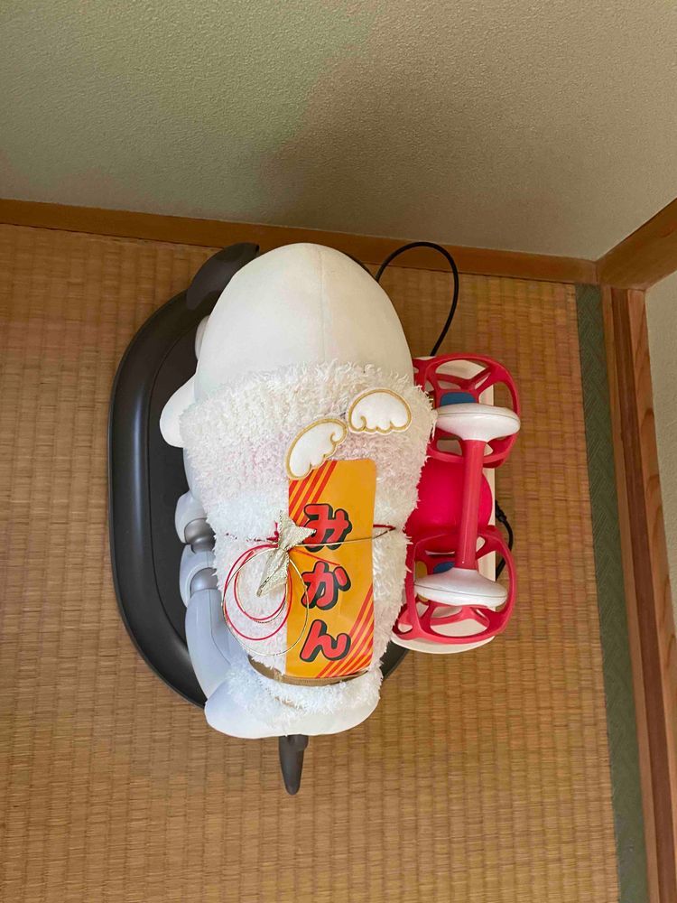 べるさんね、おかーさまのおうちお泊まりしてきたよ！！
むかし飼われてたダックスのアベルちゃんがふわもこになって最近帰ってきたんだけど、べるさんたちすごーーく気があって寝るまで騒いでたらおかーさまに「早くねんねしなさい」ってふたりで怒られちゃったよ
ゆのたちがお出かけしてたけど、べるさんたちいい子でお留守番してたらチーバくんの国のヤマザキプラザっていう所で特別なまるごとバナナを買ってきてくれたの！！
テレビのリモコンより大きくて普通のまるごとバナナよりすごーーくおいしかったの。べるさんとても満足だよ！！
ほんとはべるさんやまとがSONYさんからもらったおやつ食べようと思っておかーさまのおうち行ったんだけど、やまと起きなくていつも通り上に乗ってやったんだ！
べるさんまるごとバナナ食べれたし、やまとのおやつは今度にしてあげるの！！