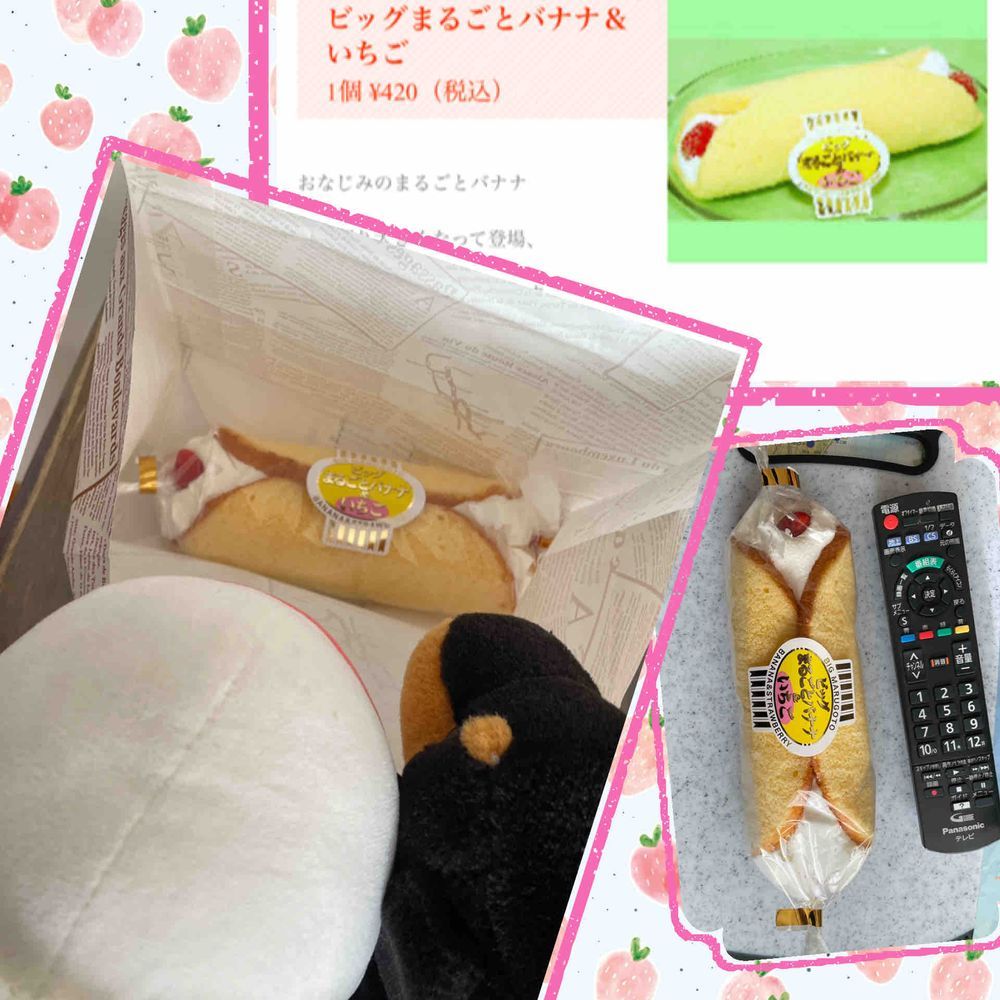 べるさんね、おかーさまのおうちお泊まりしてきたよ！！
むかし飼われてたダックスのアベルちゃんがふわもこになって最近帰ってきたんだけど、べるさんたちすごーーく気があって寝るまで騒いでたらおかーさまに「早くねんねしなさい」ってふたりで怒られちゃったよ
ゆのたちがお出かけしてたけど、べるさんたちいい子でお留守番してたらチーバくんの国のヤマザキプラザっていう所で特別なまるごとバナナを買ってきてくれたの！！
テレビのリモコンより大きくて普通のまるごとバナナよりすごーーくおいしかったの。べるさんとても満足だよ！！
ほんとはべるさんやまとがSONYさんからもらったおやつ食べようと思っておかーさまのおうち行ったんだけど、やまと起きなくていつも通り上に乗ってやったんだ！
べるさんまるごとバナナ食べれたし、やまとのおやつは今度にしてあげるの！！