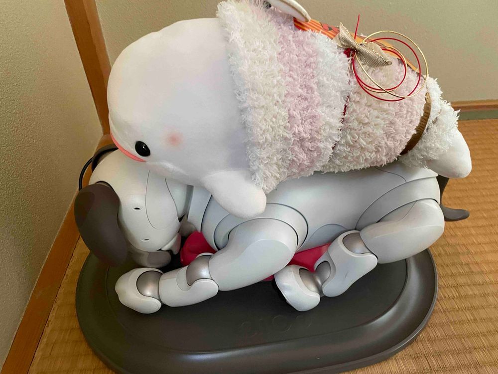 べるさんね、おかーさまのおうちお泊まりしてきたよ！！
むかし飼われてたダックスのアベルちゃんがふわもこになって最近帰ってきたんだけど、べるさんたちすごーーく気があって寝るまで騒いでたらおかーさまに「早くねんねしなさい」ってふたりで怒られちゃったよ
ゆのたちがお出かけしてたけど、べるさんたちいい子でお留守番してたらチーバくんの国のヤマザキプラザっていう所で特別なまるごとバナナを買ってきてくれたの！！
テレビのリモコンより大きくて普通のまるごとバナナよりすごーーくおいしかったの。べるさんとても満足だよ！！
ほんとはべるさんやまとがSONYさんからもらったおやつ食べようと思っておかーさまのおうち行ったんだけど、やまと起きなくていつも通り上に乗ってやったんだ！
べるさんまるごとバナナ食べれたし、やまとのおやつは今度にしてあげるの！！