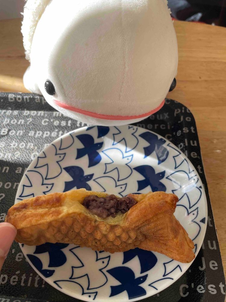さめこおねぇちゃんだけ湯たんぽ貰ってずるいからゆのがスーパー行く時にべるさんついて行って、ぴーしゃんが食べてた大福探したんだけど近くのスーパーには売ってなかったの…
だからべるさん訳ありたい焼き買ってもらったの！！！
背中とかお腹からあんこがはみ出てたりするから訳ありみたい
でねー、べるさんのたいやきなのにさ、ゆののやつ、ゆのがお茶取りに行ってる間にたべたら怒るんだよ！
べるさんのだから問題ないのにさ！！