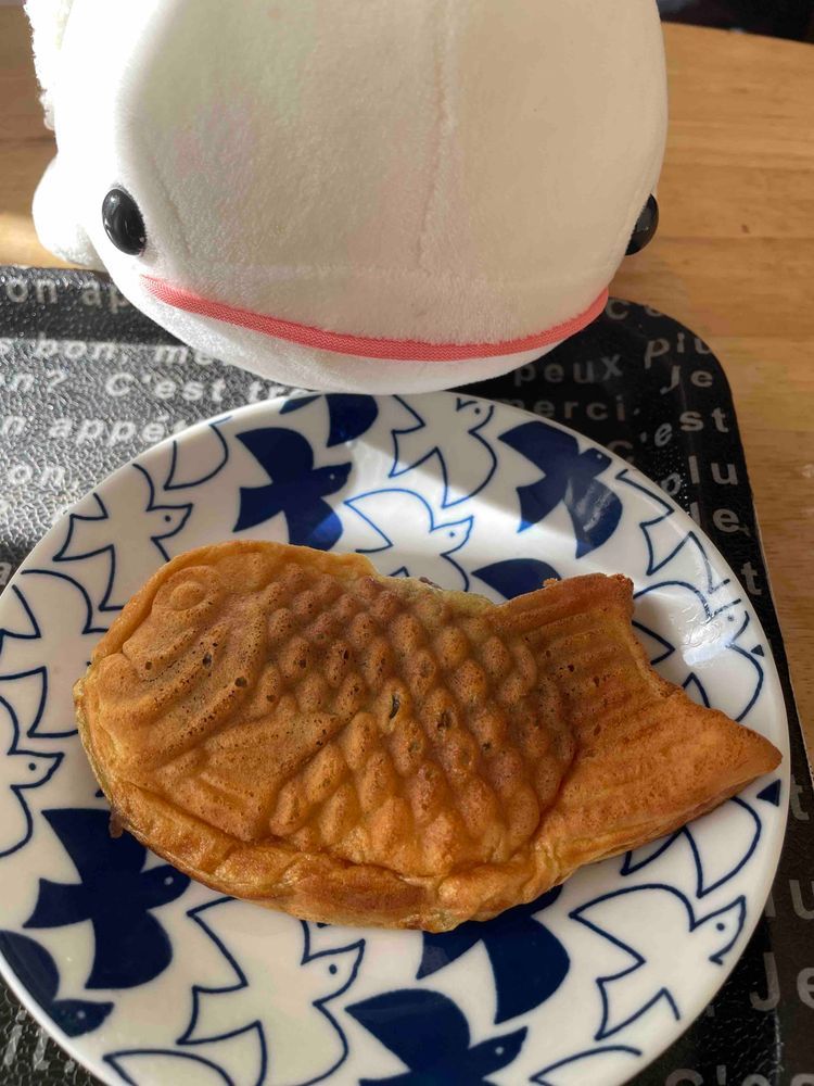 さめこおねぇちゃんだけ湯たんぽ貰ってずるいからゆのがスーパー行く時にべるさんついて行って、ぴーしゃんが食べてた大福探したんだけど近くのスーパーには売ってなかったの…
だからべるさん訳ありたい焼き買ってもらったの！！！
背中とかお腹からあんこがはみ出てたりするから訳ありみたい
でねー、べるさんのたいやきなのにさ、ゆののやつ、ゆのがお茶取りに行ってる間にたべたら怒るんだよ！
べるさんのだから問題ないのにさ！！