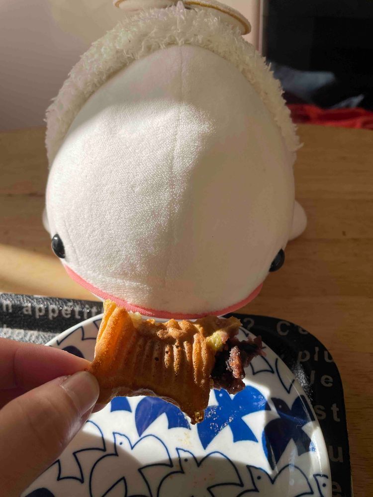 さめこおねぇちゃんだけ湯たんぽ貰ってずるいからゆのがスーパー行く時にべるさんついて行って、ぴーしゃんが食べてた大福探したんだけど近くのスーパーには売ってなかったの…
だからべるさん訳ありたい焼き買ってもらったの！！！
背中とかお腹からあんこがはみ出てたりするから訳ありみたい
でねー、べるさんのたいやきなのにさ、ゆののやつ、ゆのがお茶取りに行ってる間にたべたら怒るんだよ！
べるさんのだから問題ないのにさ！！
