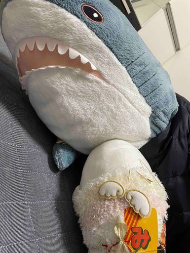 さめこだよ🦈
なんか今日さめこ、ゆののことだっこして泣き止ませて、落ち着いてお茶飲めると思ったら今度はべるさんが大泣きしててあやして疲れたの
しかもべるさんなんかチクチクするし…
さめこ今日大仕事すぎたの