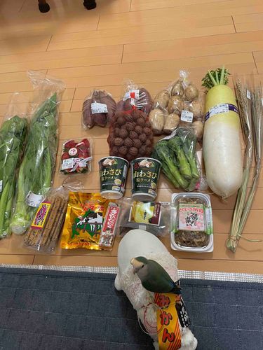 ゆの、お墓参りってやつで水戸に行ってその帰りに道の駅巡りしてたらしいの
べるさん起きた時道の駅だったからどこだかわからなかったみたい
べるさんね、まえにぴーしゃんが食べてたいも大学買ってもらって、ぼんじりは稲をお土産にもらったの
さめこおねぇちゃんはクルミでゆのはそぼろ納豆だってさ
それでぼんじりの精米屋さんがOPENしてたの
ゆのが言うには日本酒に最適な精米具合。大吟醸って言ってたんだけどぉ
3枚目の写真の時、べるさんはぼんじりに「べるにはお米わけてあげないからね！これぼんじりのだからね！！」って言われてたの。
だからべるさんもいも大学はわけてあげないからね！って言ったらゆのにぼんじりが「べるのやつにいじめられたー！」っていいつけにいってたんだよ
ほんとやなやつ！！！！