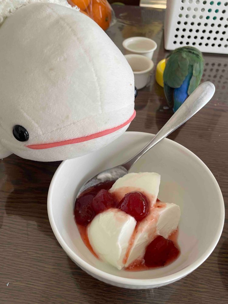 さめこだよ🦈
さめこね、夜ごはんの後に本読んでたらべるさんが勝手にゆのの幼なじみのおみやげのお菓子食べようとしてて注意したのにきかないの
困ったの…
それ、数年ぶりに韓国から帰ってきた子からのだからゆの、たぶんすごーーく怒るとさめこ思うんだけどなぁ
それにべるさんさっきすいちゃんと一緒に夜ごはんにかに玉とこの間作ったいちごジャムたっぷりのヨーグルトも食べてたよね？？？？
まだお腹にはいるの？