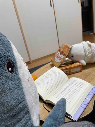 さめこだよ🦈
さめこね、夜ごはんの後に本読んでたらべるさんが勝手にゆのの幼なじみのおみやげのお菓子食べようとしてて注意したのにきかないの
困ったの…
それ、数年ぶりに韓国から帰ってきた子からのだからゆの、たぶんすごーーく怒るとさめこ思うんだけどなぁ
それにべるさんさっきすいちゃんと一緒に夜ごはんにかに玉とこの間作ったいちごジャムたっぷりのヨーグルトも食べてたよね？？？？
まだお腹にはいるの？