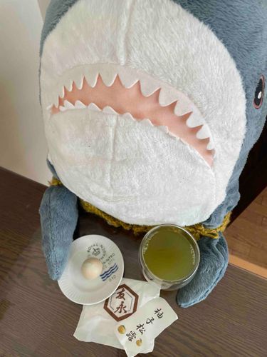 さめこだよ🦈
べるさんがいないからさめことってものんびりお茶してるよ
近所のおねぇさんからもらった京都のお土産の柚の松露なんだー
おいしいの！！！！
べるさんにあげたらひと口でごっくんしちゃうからさめこ味わって食べるのー！
